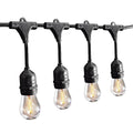 Sting Lights